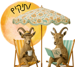תרבות ותיקים