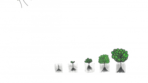 Artboard 1 copy 15@2x-100.jpg