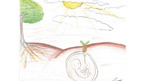 Artboard 1 copy 18@2x-100.jpg