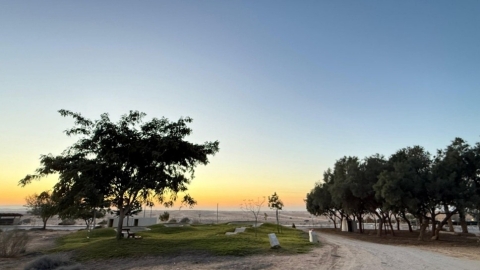 נוף היישוב באר מילכה.jpg